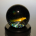 IFG_9064_CP_25in